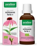 Échinacée forte (Échinacée pourpre) gouttes complément alimentaire BIO 50 ml – Purasana