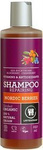 Shampoo Noordse bessen herstellend Biologisch 500 ml – Urtekram