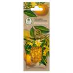 Pendentif parfum orange naturel 1 pc. - Dary Natury