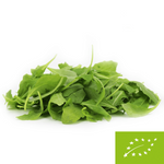 Verse ongewassen rucola BIO (ca. 0,10 kg)