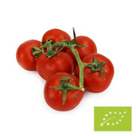 Pomidory na gałązce świeże BIO - ok 5 kg