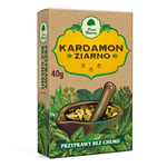 Cardamome en grains 40 g – Dary Natury