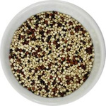 Quinoa tricolore Bio (ingrédient) 25 kg – Horeca