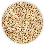 Spelt (graan) bio (grondstof) (25 kg) 8