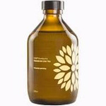 Kombucha Ingwer und Acerola Bio 330 ml – Vigo