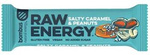 Barre RAW ENERGY caramel salé – arachide sans gluten 50 g – Bombus