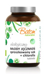 Poudre de jus d'orge jeune + chlorella 500 mg comprimés complément alimentaire 120 g - Batom