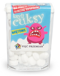 Bonbons au xylitol Ksylicuksy saveur menthe, sans gluten, 13 g – Pięć Przemian (Five Transformations)