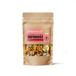 Bio Fruchtige Müsli- und Dessertzusätze Immun 20 g – Dary Natury