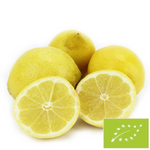 Frische BIO-Zitronen - ca. 6 kg