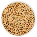 Bruine linzen BIO (rauw) (25 kg) 6