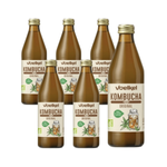 PACK DE 6 x Kombucha BIO 330 ml