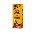 Mango-Snack in Milchschokolade 30 g – Bob Snail