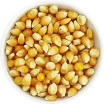 Popcorn (grains de maïs) bio (matière première) (25 kg) 2