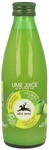Limettensaft Direktsaft 100% BIO 250 ml – Alce Nero