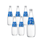 Natürliches Mineralwasser mit hohem CO2-Gehalt 0,7 l